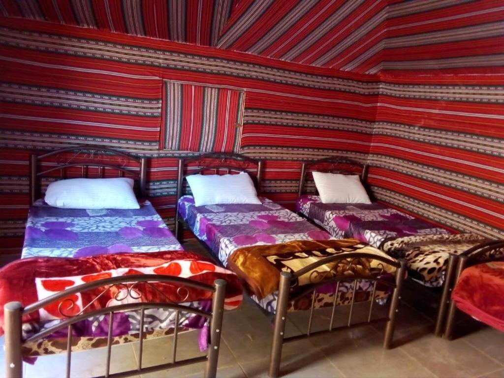 Wadi Rum Moon Camp Eksteriør billede