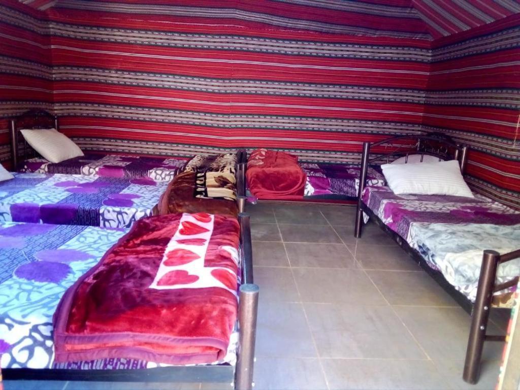 Wadi Rum Moon Camp Eksteriør billede