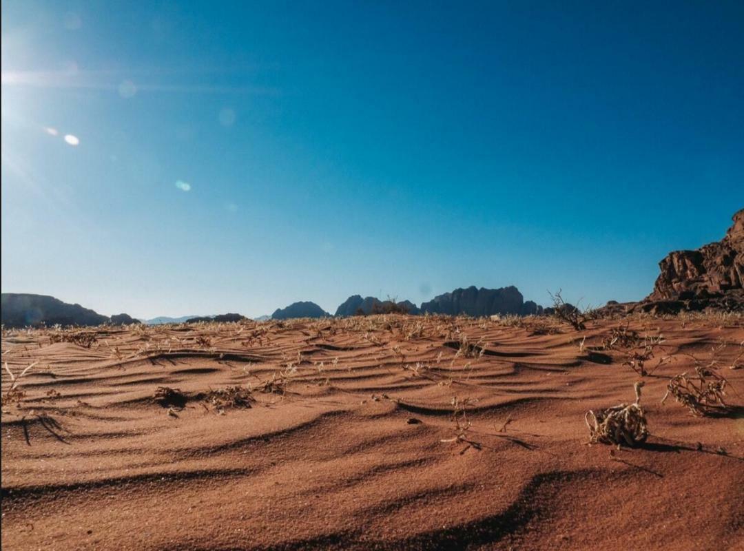 Wadi Rum Moon Camp Eksteriør billede