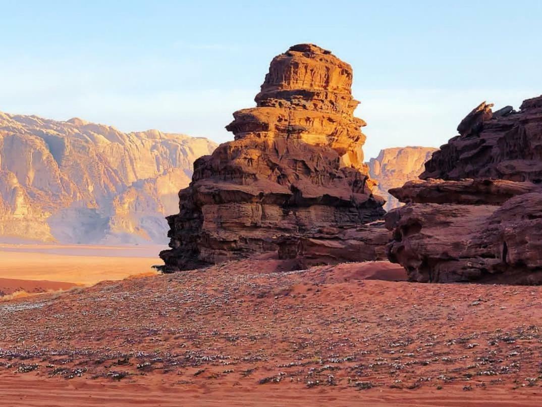 Wadi Rum Moon Camp Eksteriør billede