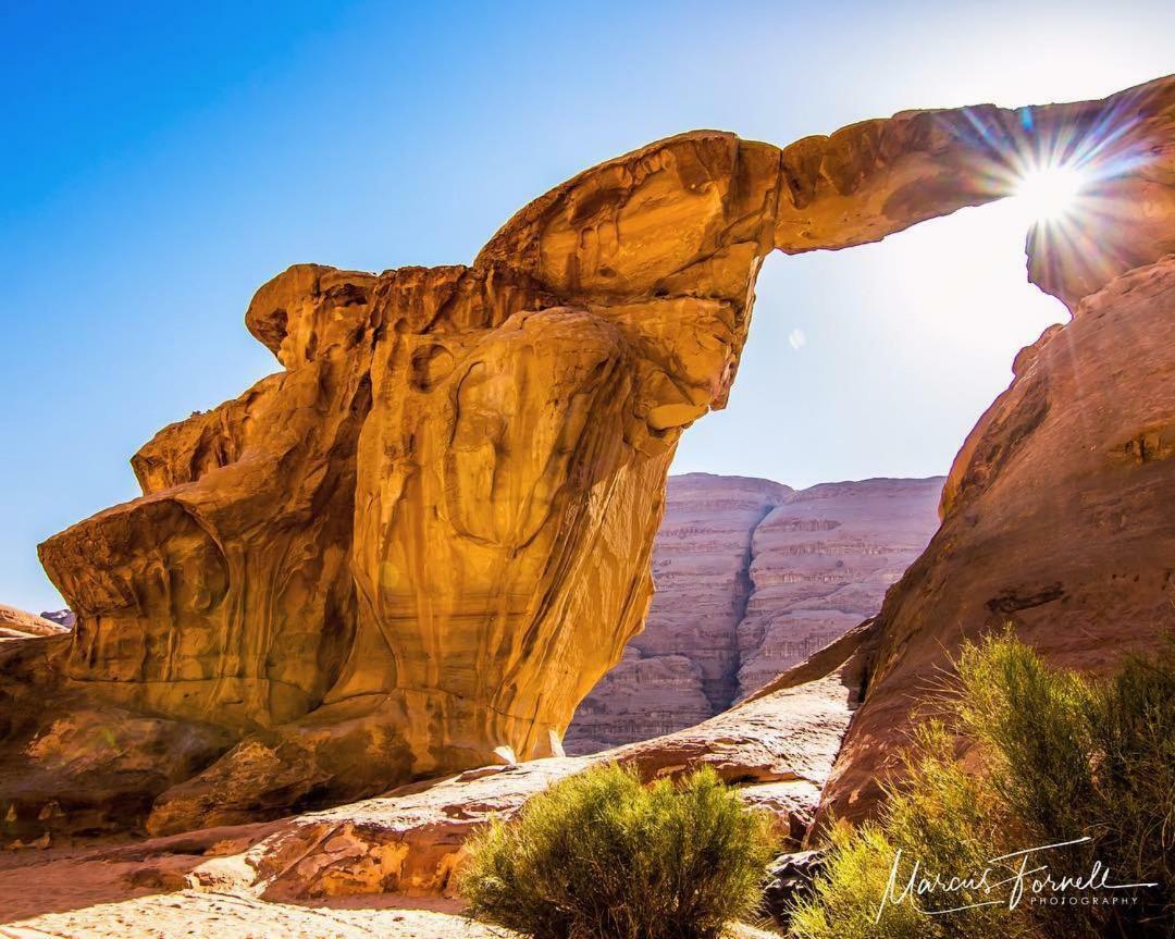Wadi Rum Moon Camp Eksteriør billede