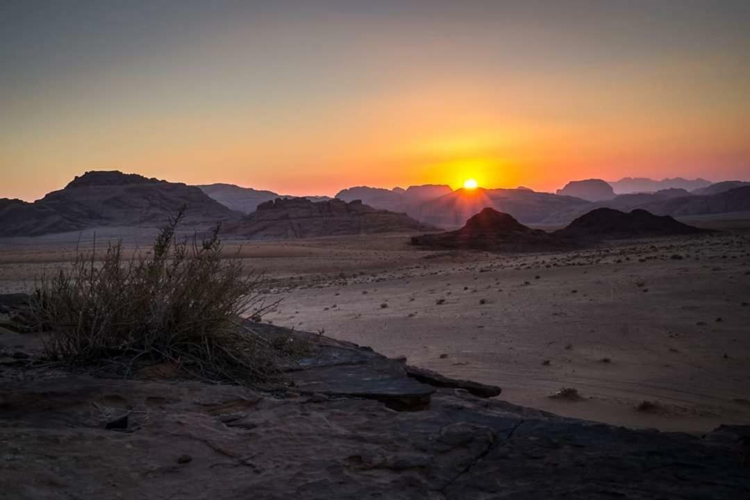 Wadi Rum Moon Camp Eksteriør billede